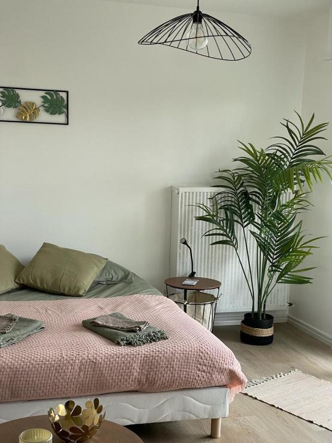 Studio T A 5Mn Euro Airport Avec Terrasse Saint-Louis  Esterno foto