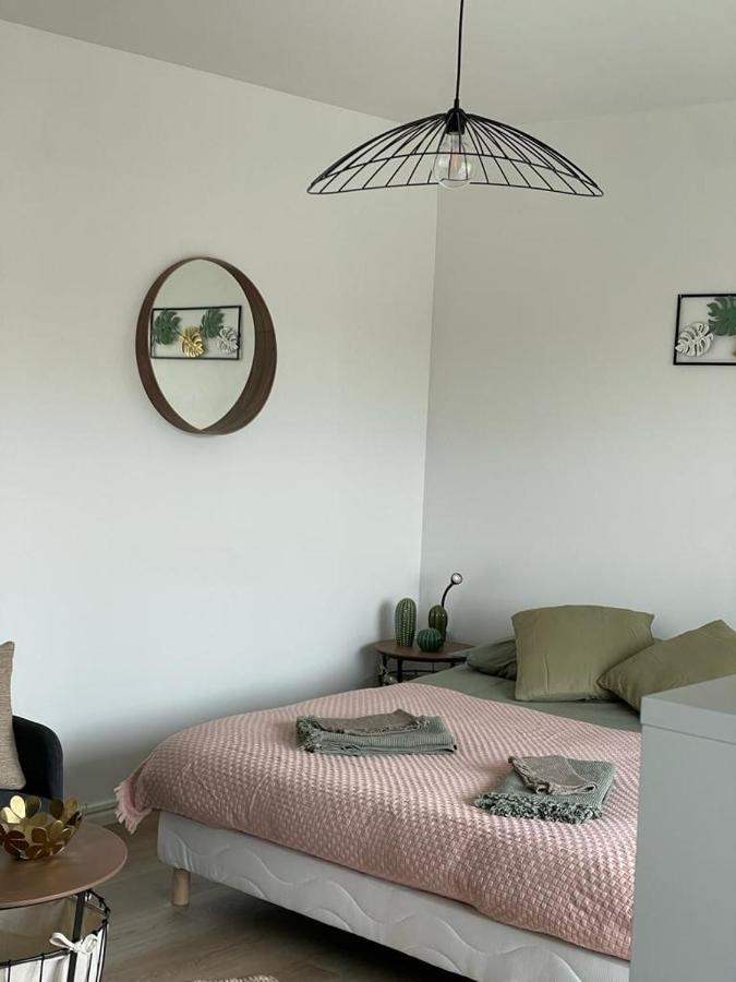 Studio T A 5Mn Euro Airport Avec Terrasse Saint-Louis  Esterno foto