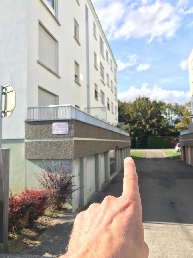 Studio T A 5Mn Euro Airport Avec Terrasse Saint-Louis  Esterno foto